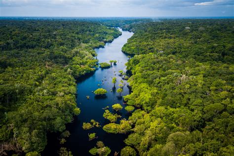 Amazonas